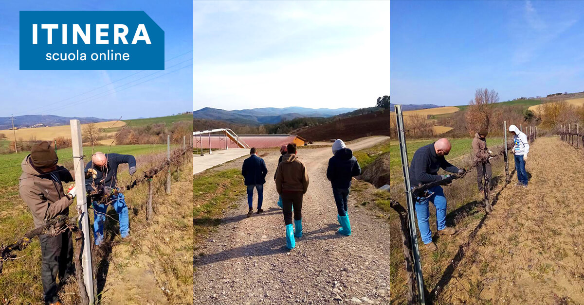 Una giornata in azienda agricola Una giornata in azienda agricola